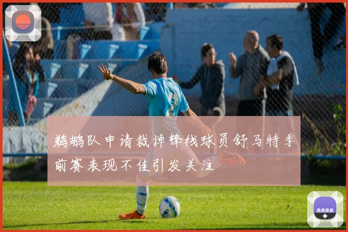 鹈鹕队申请裁掉锋线球员舒马特季前赛表现不佳引发关注