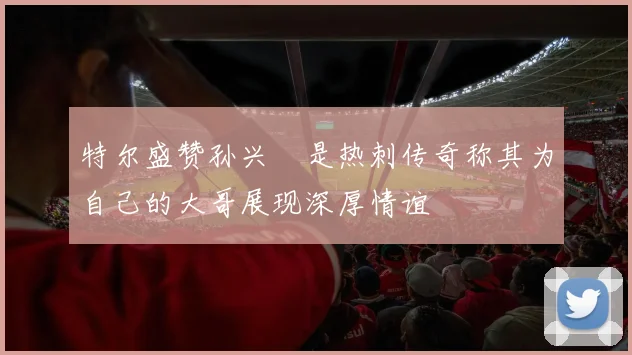 特尔盛赞孙兴慜是热刺传奇称其为自己的大哥展现深厚情谊