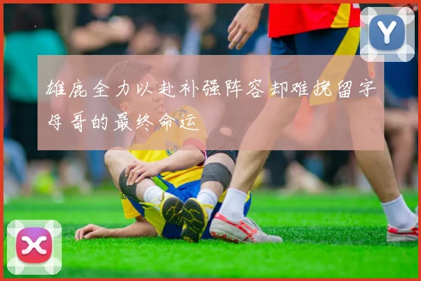 雄鹿全力以赴补强阵容却难挽留字母哥的最终命运