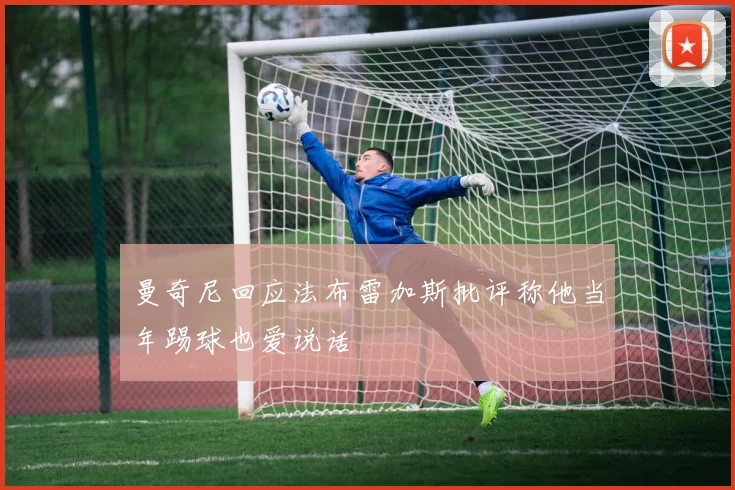 曼奇尼回应法布雷加斯批评称他当年踢球也爱说话