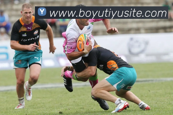 博鱼体育平台生态图