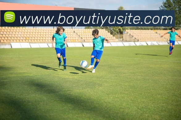 博鱼体育APP 封面图